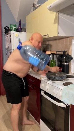 НАШИ МИЛЫЕ КОТИКИ!!! #твмаэстро