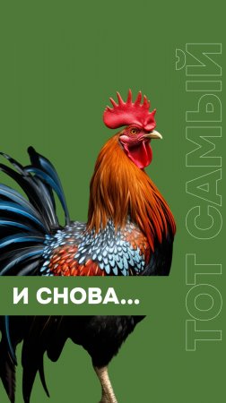 Мечтать не вредно, вредно не мечтать 🙏 #топыкатегорий #строительство #юмор