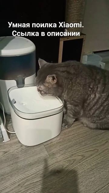 Умная поилка для кошек Xiaomi Mijia смотреть онлайн