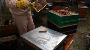 ДЕЛАЕМ ОТВОДКИ ИЗ СЕМЬИ