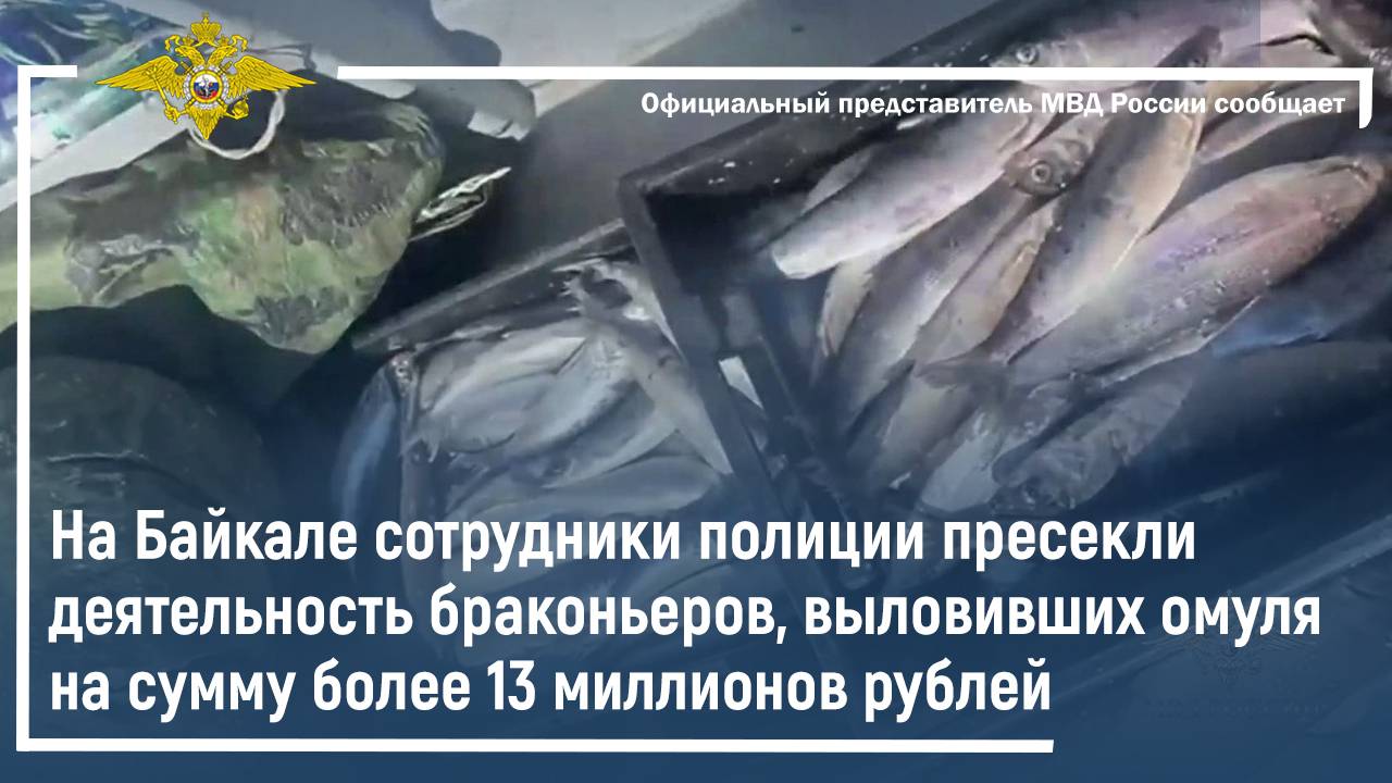 На Байкале полиция пресекла деятельность браконьеров, выловивших омуля на сумму более 13 млн рублей