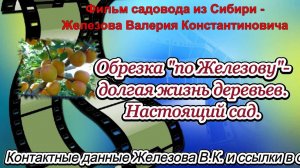 Обрезка по "Железову" - долгая жизнь деревьев. Настоящий сад.