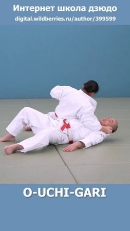 Интернет школа дзюдо. O-UCHI-GARI3