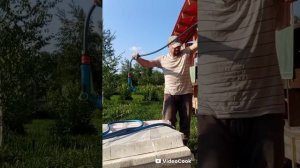 куЛиМята