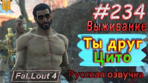 Ты друг Цито. Fallout 4. #234. Прохождение. Выживание. Русская озвучка.