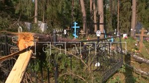 Маленький, но очень сильный смерч, ломал вековые сосны как спички в Борском районе