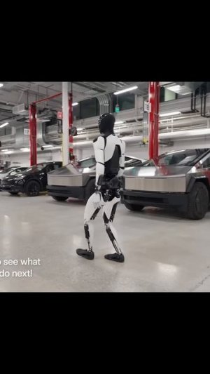 Экс-глава Tesla Optimus Крис Валти раскритиковал амбиции основателя компании Илона Маска.