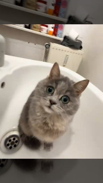 С добрым утречком👍 смотреть онлайн