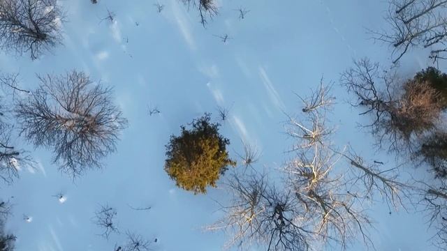 Хребет #стих Елены Лесник. Читает Анна Мезенцева. смотреть онлайн