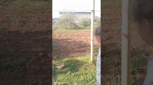 духи́ от Алина мяу