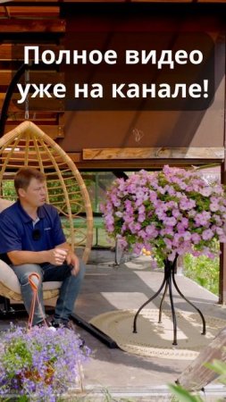 Ампельная петуния