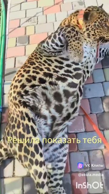 любимый муж 😂