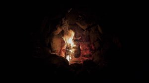 Землянка у ручья. Заяц в лесу. Мыши и чай. Мясо на углях в фольге