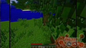 ОБЗОР - ANTI-PIRACY MINECRAFT VHS HORROR