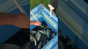 9 июня.mp4