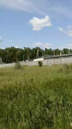 Участок. 9 соток, СНТ Рябинка