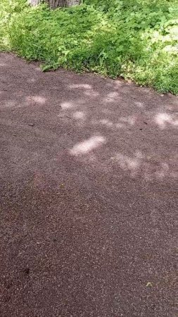 Встретили Друга 🐿️
