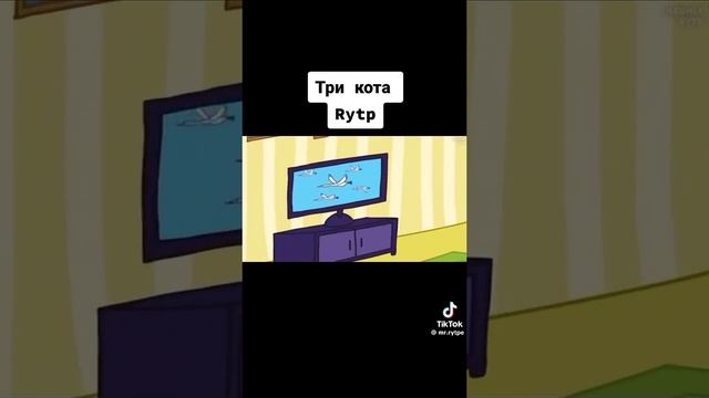 Мемы#5