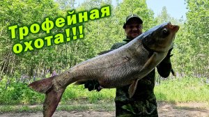 ЛУЧШЕЕ НАЧАЛО СЕЗОНА ПОДВОДНОЙ ОХОТЫ 2025!!! ОГРОМНЫЙ КАРП И ТОЛСТОЛОБИК!!!