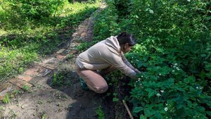 Врач рассказала о болезнях дачников