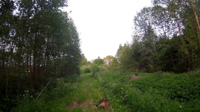 Повороты с подтверждением.