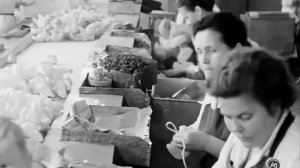 1967 год. Откуда игрушки пошли? Тюменский завод "Пластмасс".