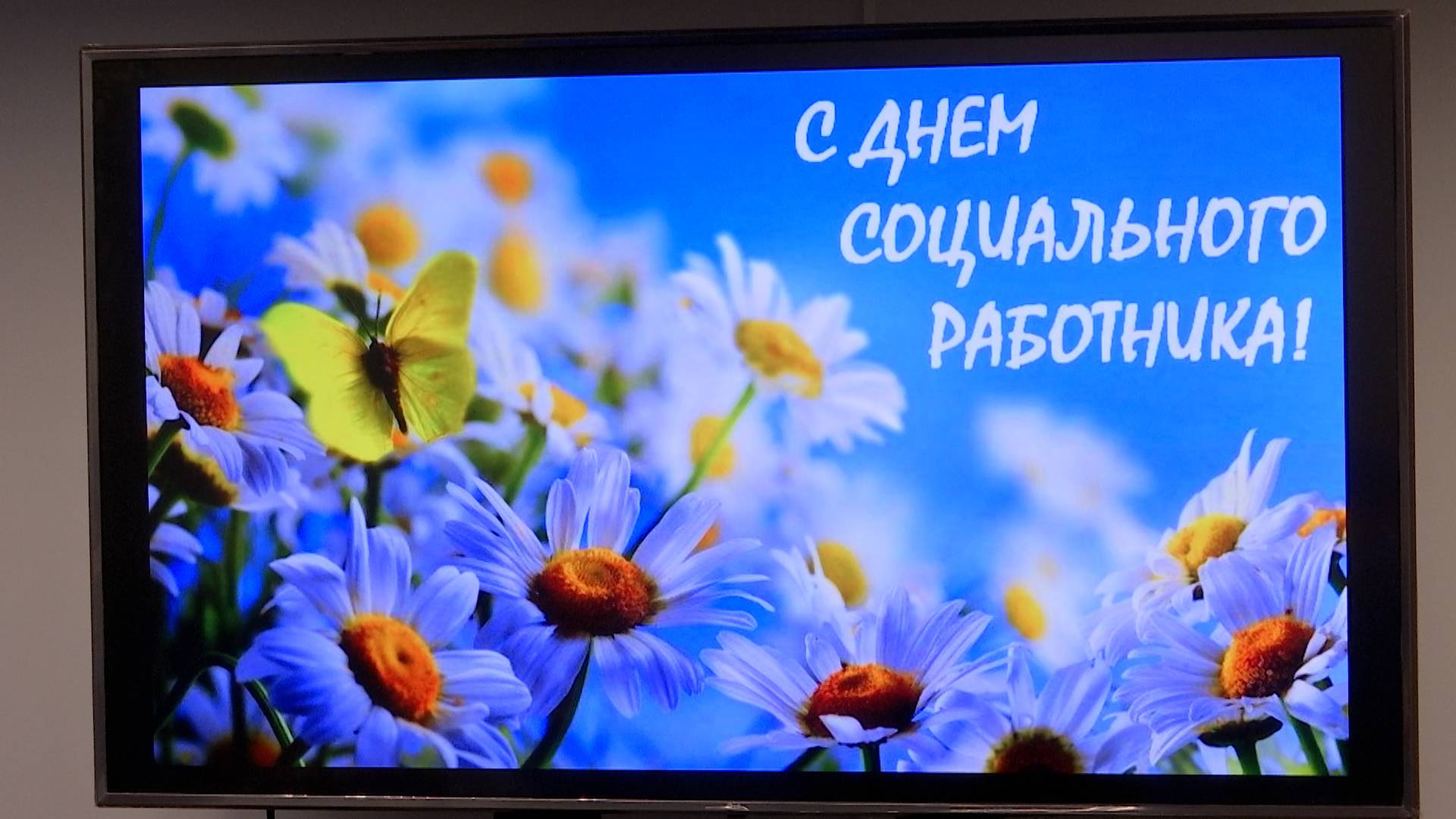 День социального работника