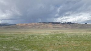 Обзор участка. Алтай.  Кош-Агачский район (38,4 га)_3