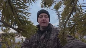 2 день охоты. Подготовка к охоте гусь не летит.