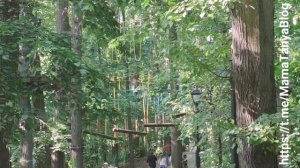 Парк Фили в Москве