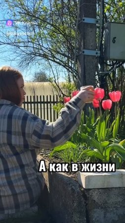 ЧТО ОСТАЕТСЯ ЗА КАДРОМ БЛОГЕРА