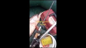 Рыбацкая страсть Клев по крупному Часть 14