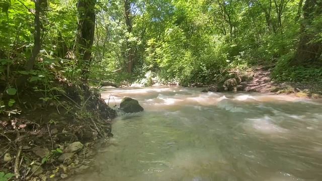 Акварель природы: где вода танцует с красотой