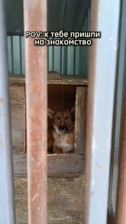 Момент, который определяет всю твою жизнь... Приходите знакомиться.  8 (904) 170-24-44