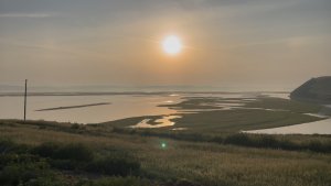 Выходные в деревне/ Новый член семьи/ Отдыхаем/ Работаем/ Первая рыбалка.