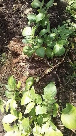 VID_20250609_100437.mp4