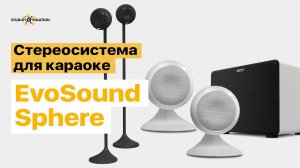 Акустика для караоке. Стереосистема EvoSound Sphere.