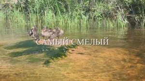 06_2025_САМЫЙ СМЕЛЫЙ