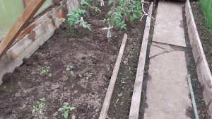 На даче/ В Петербурге дожди не заканчиваются