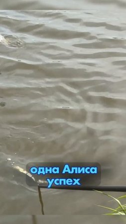 КАРПФИШИНГ ДЛЯ НАЧИНАЮЩИХ  #fishing #рыбалка #new #рыбалканафидер #carpfishing #carp