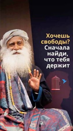 Размышления о свободе не сделают вас свободными