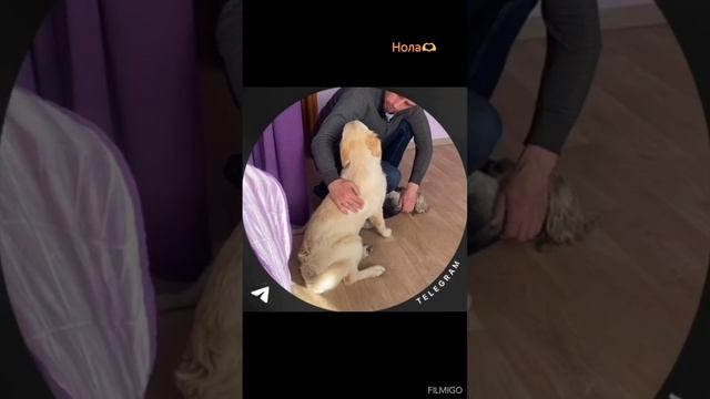 1000478369.mp4