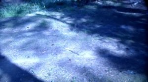 Наконец-то остановились/лагерь на Валдае 2024 год