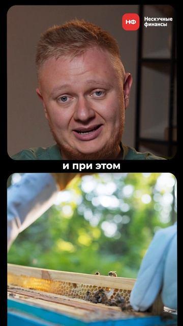 Как устроен БИЗНЕС на аренде ПЧЁЛ в 2025 году? #бизнесидеи #пчелы #аренда смотреть онлайн