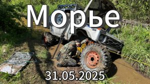 Маршрут вдоль реки Морье 31.05.2025 г.