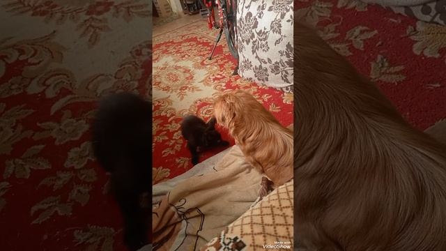 1000212242.mp4