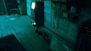 Stray