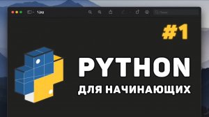 Курс для начинающих по python