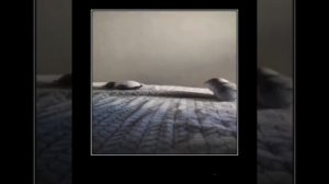 .........