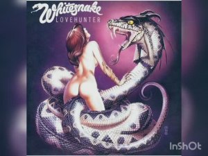 Боря Купчин-Fool for Your Loving видеокаверверсия Whitesnake